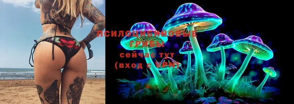 герыч Алексин