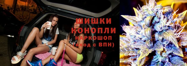 гидра Алексеевка