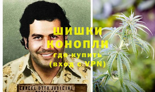 спайс Арсеньев
