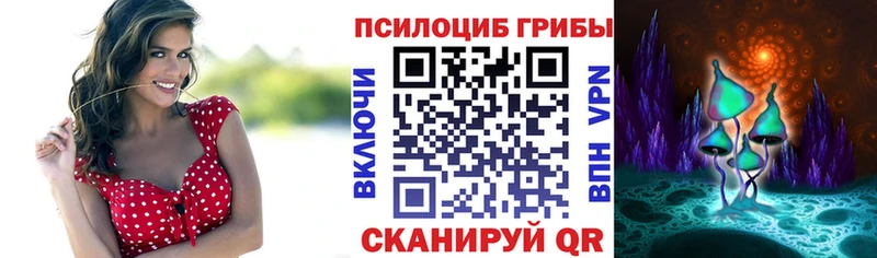 продажа наркотиков  Пенза  Галлюциногенные грибы Cubensis 